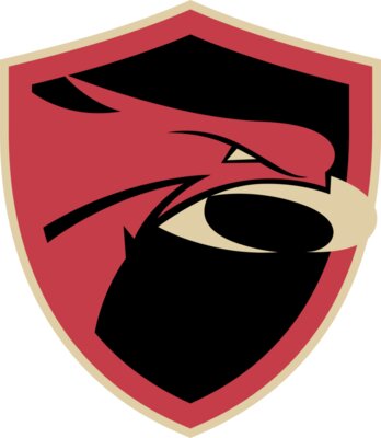 Falcons Logo no contour