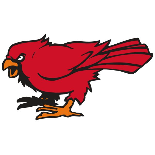 AR CARDINAL 59 RC Thumbnail