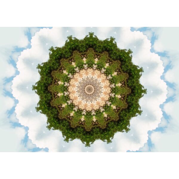 kaleidoscope trees sky stone radial circle Thumbnail
