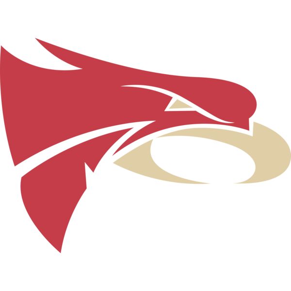 Falcons Head Logo Thumbnail