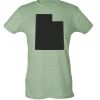 Ladies Slim Fit Poly-Rich Tee Thumbnail
