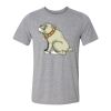 Light Youth/Adult Ultra Performance Active Lifestyle T Shirt Thumbnail
